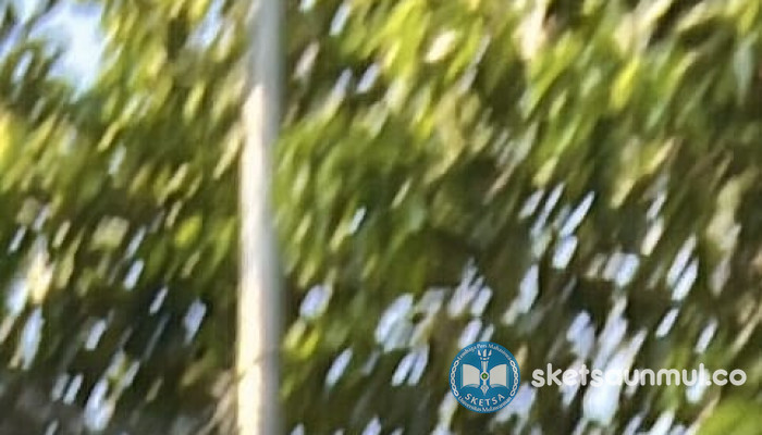 Yang Diam-diam Menyala