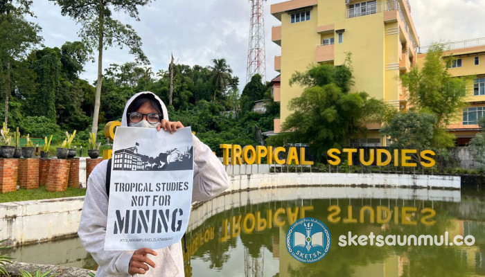 Tropical Studies Not for Mining