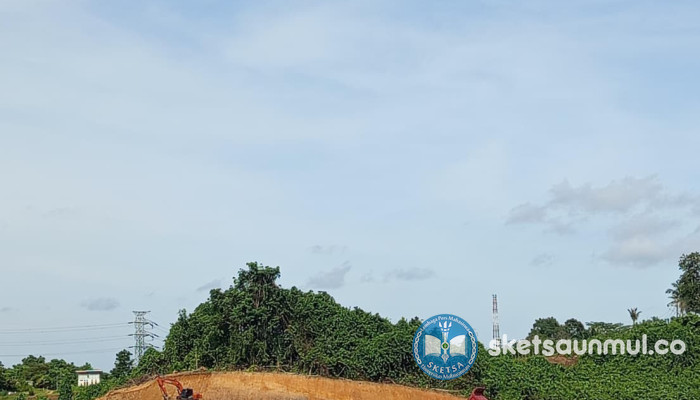 Pembukaan Lahan di Kalimantan Timur: Manfaat Bagi Masyarakat atau Penebal Kantong Pejabat?