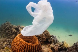 Plastikmu Mengiringi Hari Maritim Nasional
