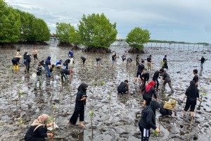 Green Leaders Indonesia Usung Kegiatan Nasional Kaum Muda Menanam, Bontang Tanam 2.500 Bibit Mangrove