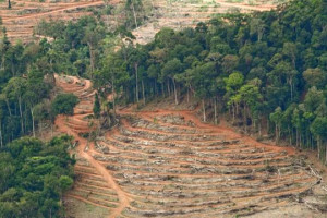 Rangkaian Kegiatan Seremonial Hari Lingkungan Hidup di Ambang Krisis Ekologis