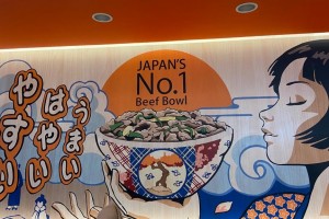 Menjelajahi Kelezatan Cita Rasa Jepang dalam Semangkuk Daging Yoshinoya